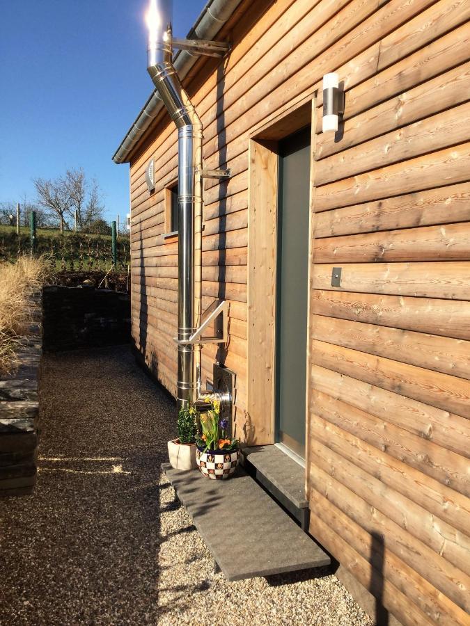 Bio-Ferienhaus Newergarten Wadern Exterior foto
